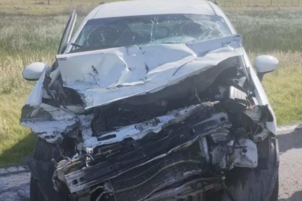El Fiat Punto resultó con graves daños y su conductor falleció en el acto